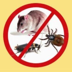 protection against rodents, cockroaches, etc.