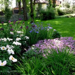 garden and lawn care